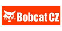 bobcat